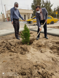 به مناسبت روز درختکاری؛ کاشت درخت توسط دکترمجتبی رفیق دوست رییس بیمارستان سیدالشهدا زهک